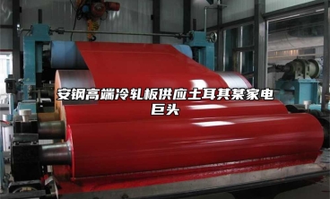 安鋼高端冷軋板供應(yīng)土耳其某家電巨頭